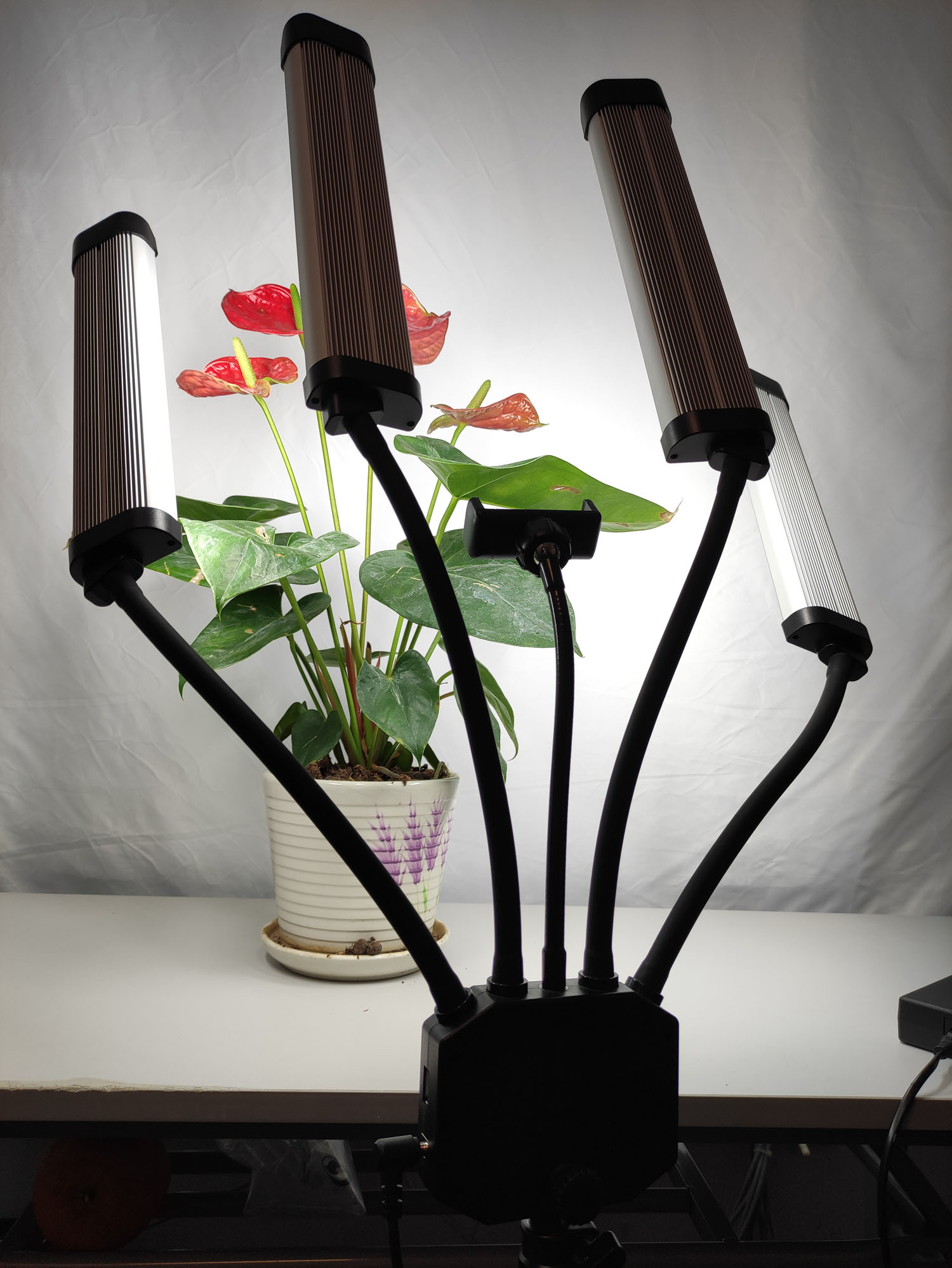 Bi-color Lamp 65W Professional - Beauty Makeup Video ulasan dan harga